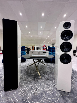 Technics SU G700 & Acoustic Energy AE 320 -Occasion 