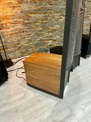 Martin Logan renaissance ESL 15A - la paire en démo 